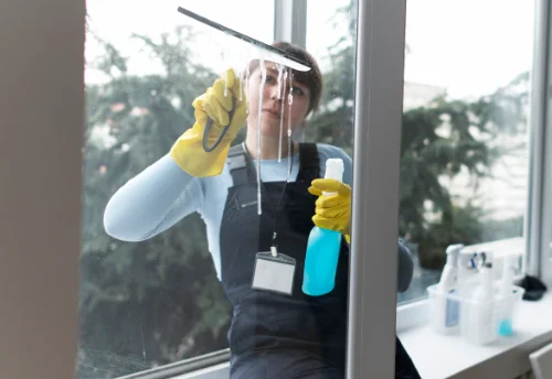 Nettoyage de vitres intérieures et extérieures à Saint-Germain-d'Anxure